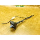 Fahrzeugantenne KFZ Antenne Renault Twingo 2 II