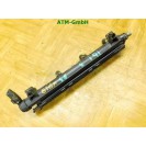 Einspritzleiste Einspritzdüse Seat Ibiza 3 III 036971824D 036133319BT