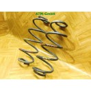 Feder Federn x 2 Stück hinten Peugeot 207 CC