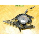 Elektrolüfter Lüfter Kühlerlüfter Peugeot 207 CC Spal 9680003280 12v