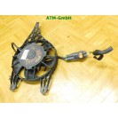 Elektrolüfter Lüfter Kühlerlüfter Peugeot 207 CC Spal 9680003280 12v