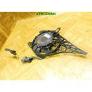 Elektrolüfter Lüfter Kühlerlüfter Peugeot 207 CC Spal 9680003280 12v