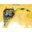 Elektrolüfter Lüfter Kühlerlüfter Peugeot 207 CC Spal 9680003280 12v