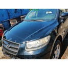 Motorhaube Hyundai Santa Fe Farbcode EB Ebony Black Schwarz