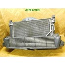 Wasserkühler Kühlerlüfer Elektrolüfter Mercedes Benz C-Klasse W203 A2035000503