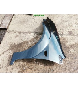 Kotflügel links Ford Fiesta 5 V Fahrerseite Pantherschwarz Schwarz Metallic