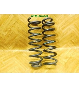 Feder Federn x 2 Stück hinten Renault Scenic 2 II
