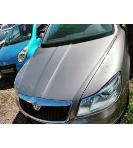Motorhaube Skoda Octavia 2 II Farbcode LF8H Cappuccino Beige Metallic