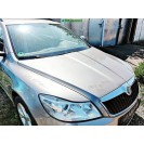 Motorhaube Skoda Octavia 2 II Farbcode LF8H Cappuccino Beige Metallic