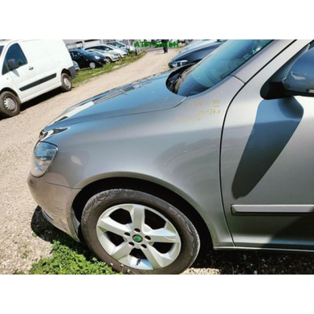 Kotflügel links Skoda Octavia 2 II Farbcode LF8H Cappuccino Beige Metallic