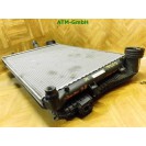 Wasserkühler Klimakühler Kühler VW Passat 3C B6 2.0 TDI 3C0121253AL