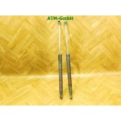 Heckklappendämpder Gasdruck x 2 Stück Renault Clio 3 III 3 türig 8200299546