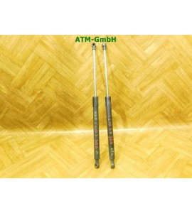 Heckklappendämpder Gasdruck x 2 Stück Renault Clio 3 III 3 türig 8200299546