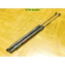 Heckklappendämpder Gasdruck x 2 Stück Renault Clio 3 III 3 türig 8200299546