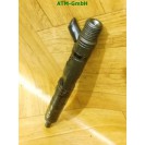 Injektor Einspritzdüse Dieseldüse Renault Clio 2 II 8200421359 H8200421897