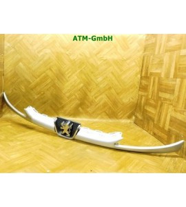 Frontleiste Peugeot 206 CC Farbcode EZR Gris Aluminium Metallic Grau