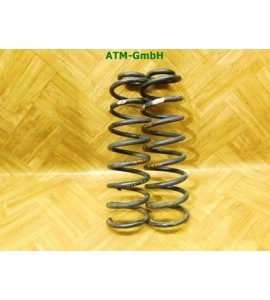 Feder Federn x 2 Stück hinten Renault Megane 2 II