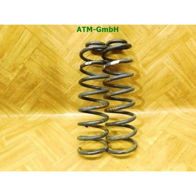 Feder Federn x 2 Stück hinten Renault Megane 2 II