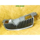 Frontgrill Kühlergrill Skoda Fabia 2 II