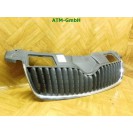 Frontgrill Kühlergrill Skoda Fabia 2 II