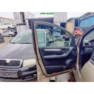 Tür vorne links Mercedes Benz B-Klasse W245 Farbcode 791 Dünenbeige Metallic