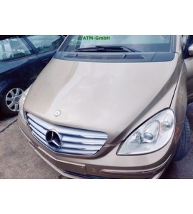 Motorhaube Mercedes Benz B-Klasse W245 Farbcode 791 Dünenbeige Metallic
