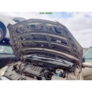 Motorhaube Mercedes Benz B-Klasse W245 Farbcode 791 Dünenbeige Metallic