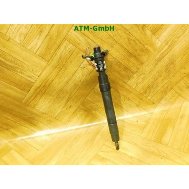 Injektor Einspritzdüse Dieseldüse Ford C-Max 9686191080 EMBR00101D Delphi
