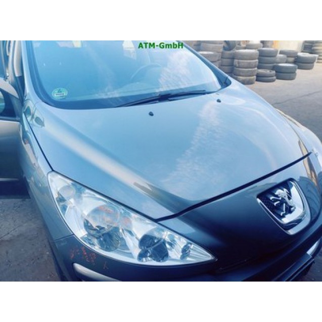 Motorhaube Peugeot 308 SW Farbcode KTQ KTQC Moondust Grau Metallic