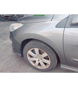 Kotflügel links Peugeot 308 SW Farbcode KTQ KTQC Moondust Grau Metallic