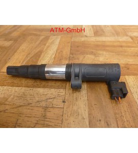 Zündspule Renault Modus