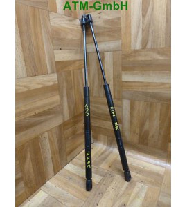 Gasdämpfer Gasdruck 2 Stück Mercedes Benz A170 Diesel W168 A1689800164