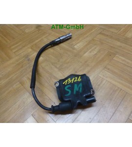 Zündspule Smart Fortwo 450 0,6 40KW 0221503022 0003100V004 A0001587703