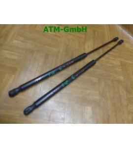 Gasdruck Gasdämpfer Heckklappendämpfer Ford Fiesta 6 VI x 2 Stück hinten