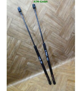 Heckklappendämpfer Gasdruck Gasdämpfer Ford C-Max x 2 Stück