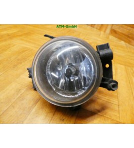 Nebelscheinwerfer Nebelleuchte NSW NLS Ford C-Max 3M5115K202AA rechts