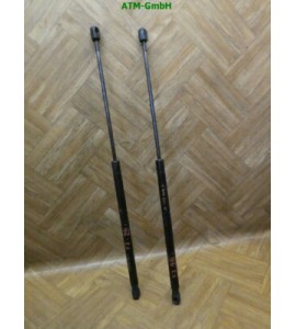 Gasdruck Gasdämpfer Heckklappendämpfer Ford Focus 2 II x 2 Stück hinten