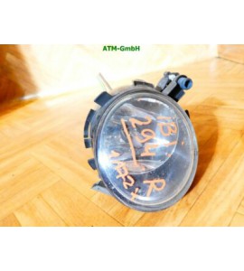 Nebelleuchte Nebelscheinwerfer NSW NSL rechts Seat Ibiza 4 IV Beifahrerseite