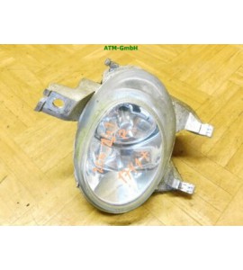Nebelscheinwerfer Nebelleuchte NSW NSL Peugeot 206 rechts Beifahrerseite
