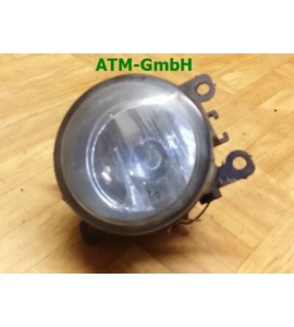 Nebelleuchte Nebelscheinwerfer NSW Renault Megane II links Fahrerseite