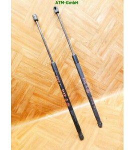 Gasdruck Gasdämpfer Heckklappendämper x 2 Stück hinten Mazda 2 II 3 türig
