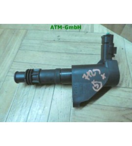 Zündspule Zündmodul Citroen C5 Delphi 9663278480 ES9A