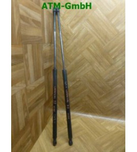 Gasdruck Heckklappendämpfer Kia Carnival x 2 Stück hinten Stabilus OK53Z-62620