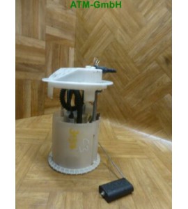 Kraftstoffpumpe Benzinpumpe Citroen C3 Pluriel Bosch 12v 0580314035 9649418280