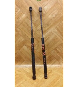Gasdruck Gasdämpfer Heckklappendämpfer Renault Megane II x 2 Stück hinten