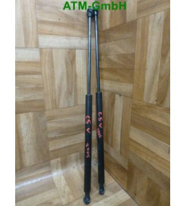 Gasdämpfer Gasdruck Gasfeder x 2 Stück vorne Citroen C5