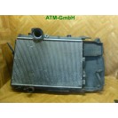 Wasserkühler Kühler Lüfter Citroen Xsara Picasso 1,8 16v Valeo 9632197880