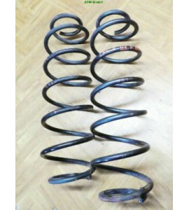 Feder Federn Renault Laguna 2 II x 2 Stück hinten