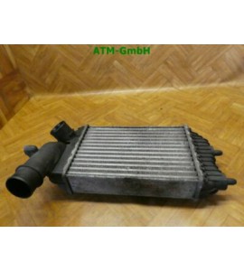 Interkühler Heizung Fiat Ducato