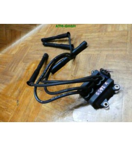 Zündspule Renault Twingo 0040100454 Beru